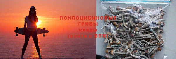 Альфа ПВП Дмитровск