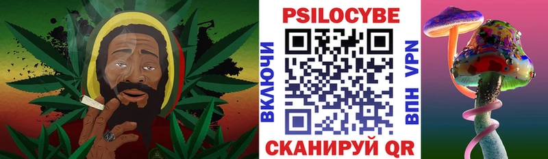 Галлюциногенные грибы GOLDEN TEACHER  Кизилюрт 